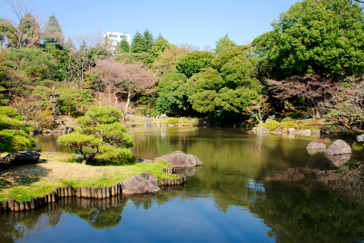 Pond at Kyu-Furukawa Gardens