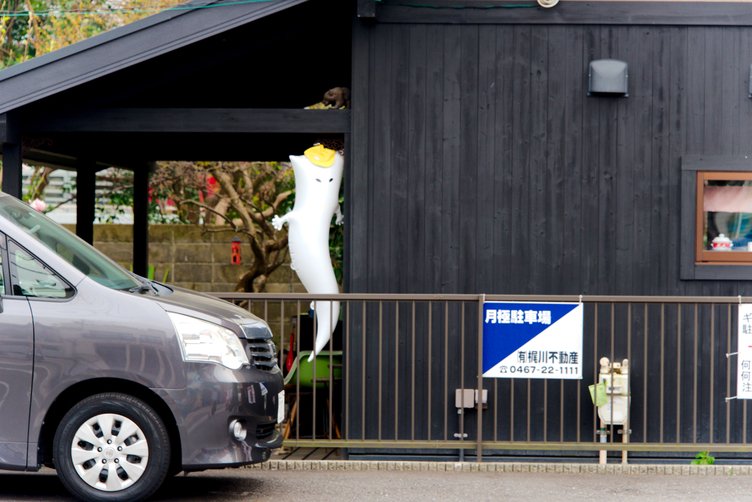 Ghost in Kamakura