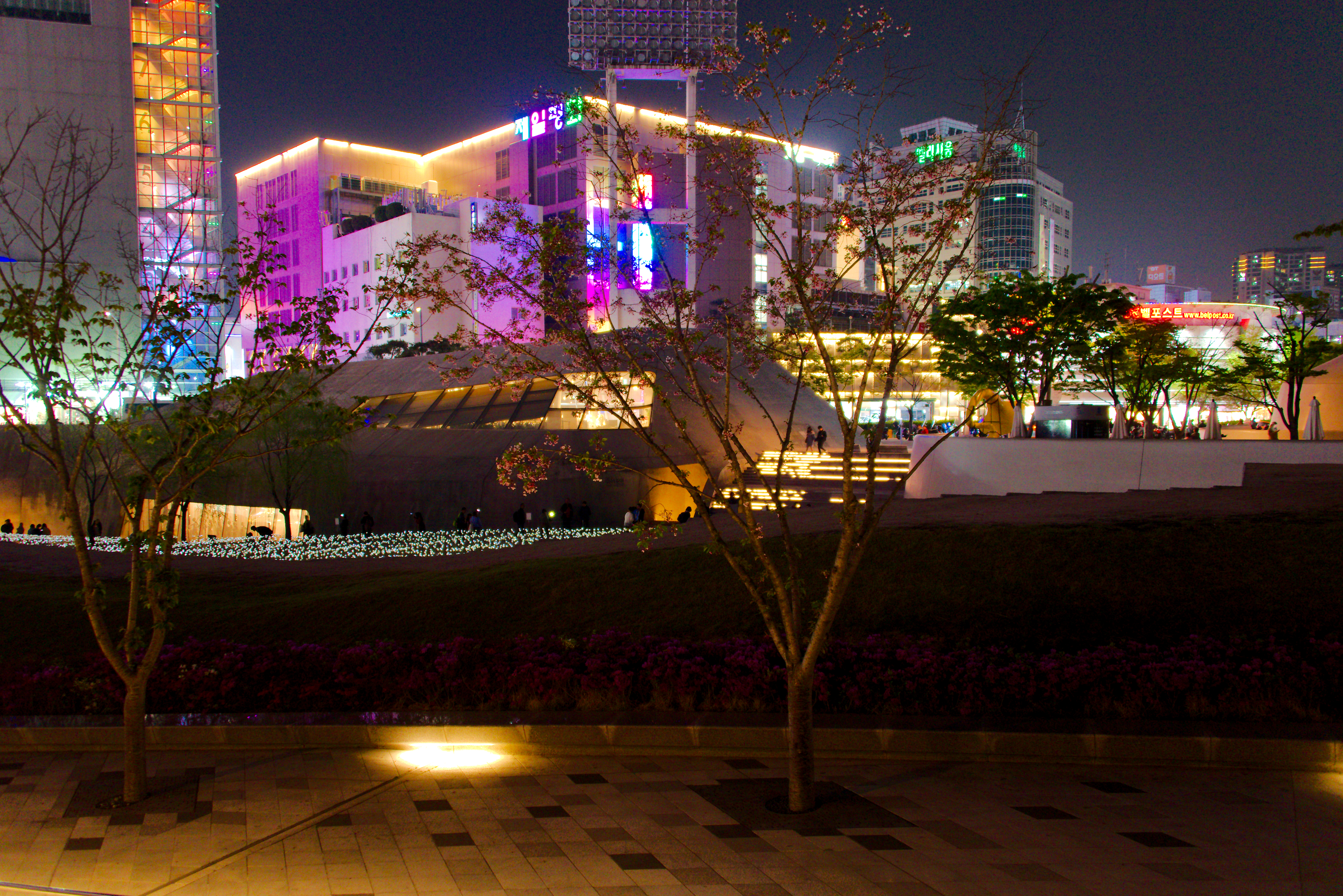 Outside the Dongdaemun Design Plaza at Night