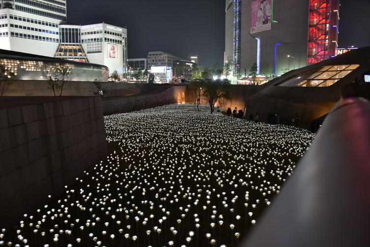 Illuminated Flowers at Dongdaemun History and Culture Park