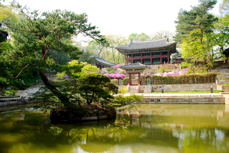 Juhamnu Pavilion in the Secret Garden of Changdeokgung Palace