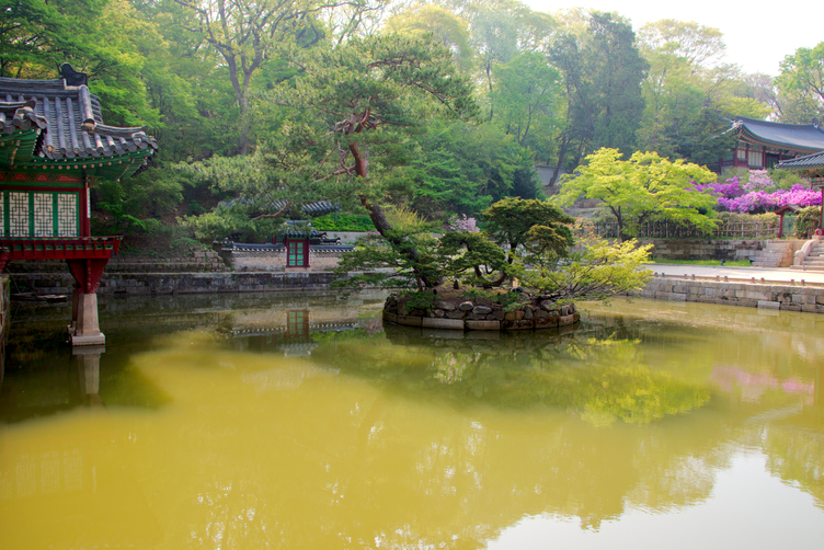 Secret Garden of Changdeokgung Palace